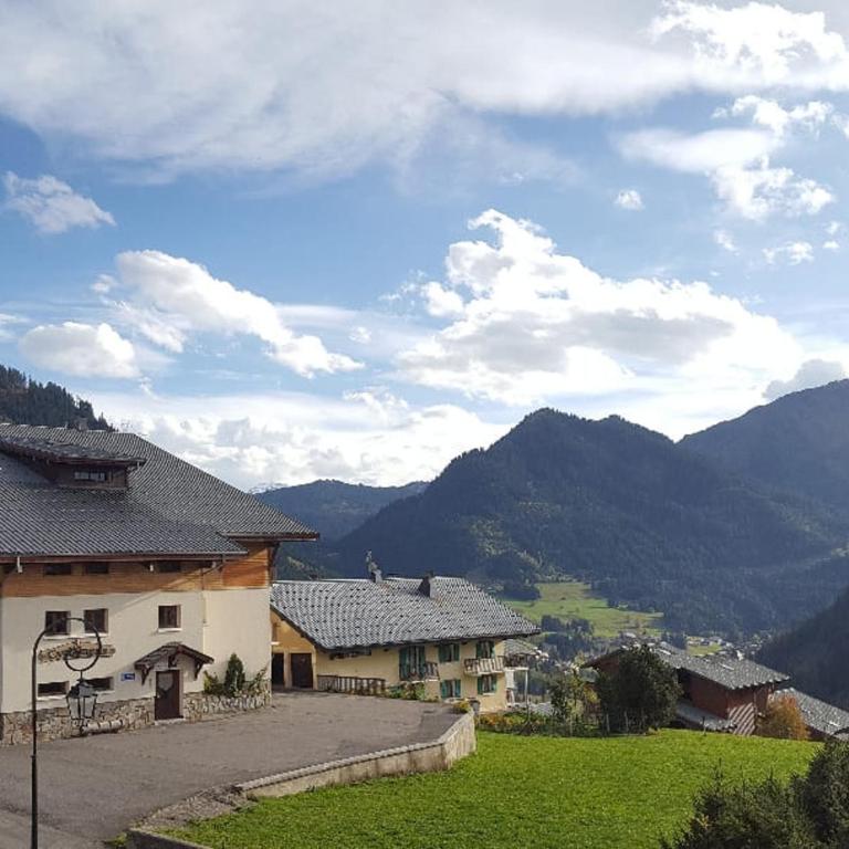Studio confortable à Châtel avec WiFi et parking couvert - FR-1-676-215 - Studio - 10