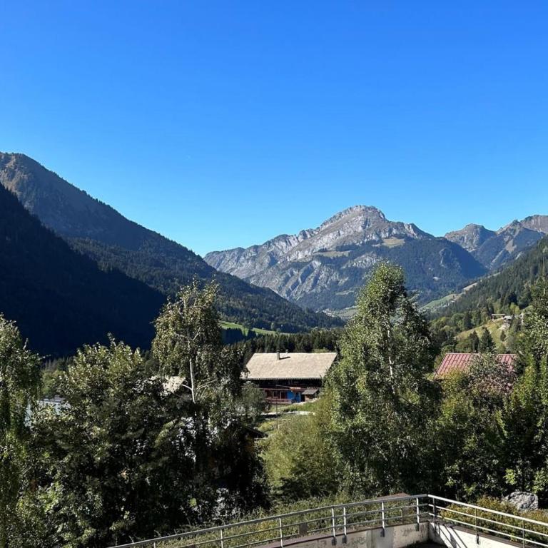 Appartement Châtel 3 pièces, 6 pers, proche centre, terrasse, parking - FR-1-676-181 - Appartement - 12