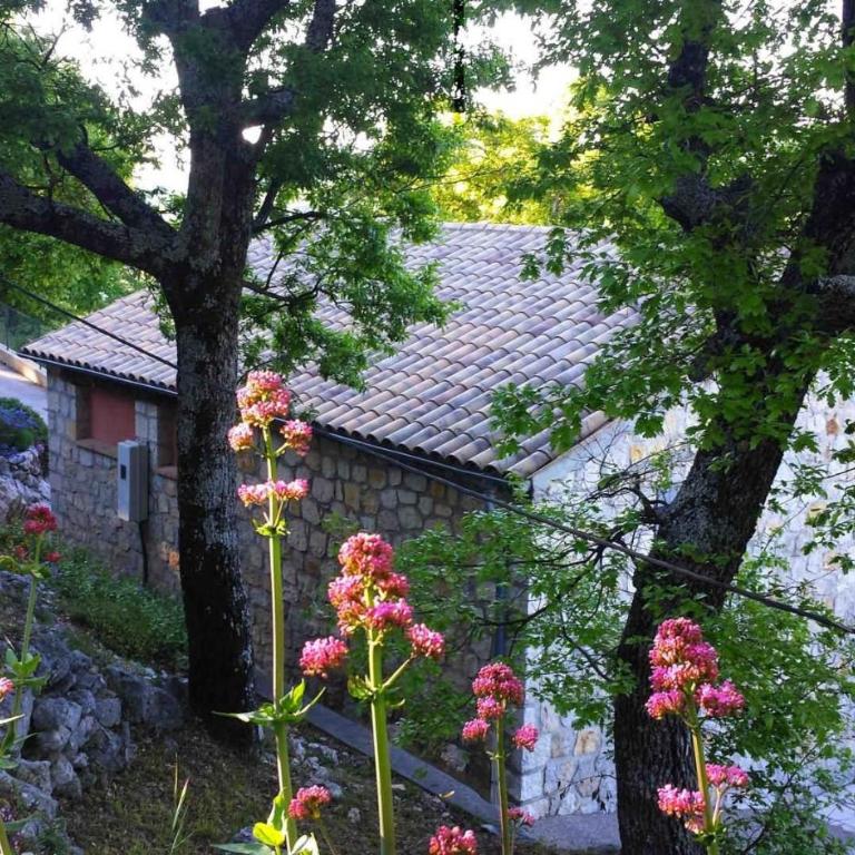 Le cheiron - Maison 2 Chambres - 2