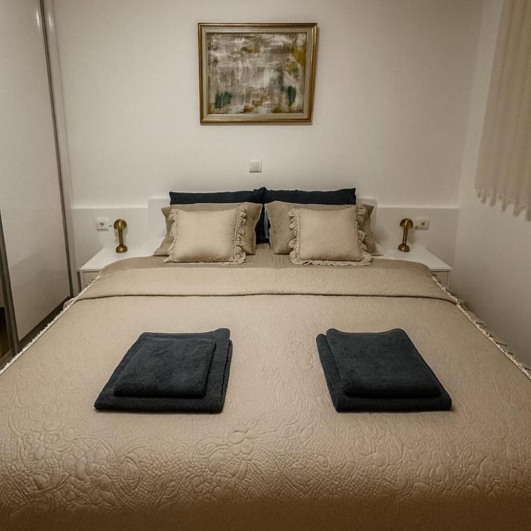 Luxury Stay in Vrnjačka Banja C1 - Apartman sa 3 Spavaće Sobe - 9