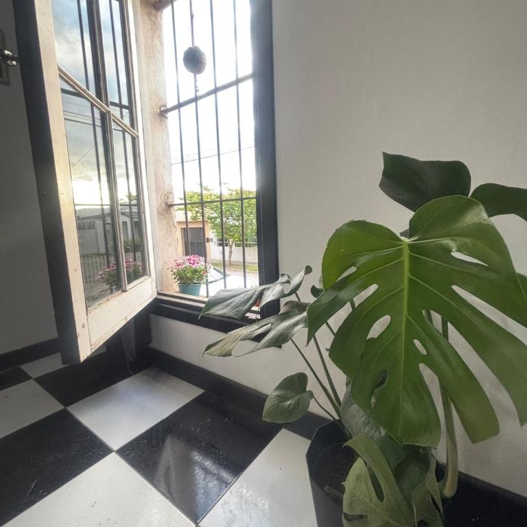 Casa 23 - Apartamento de 1 dormitorio - 2