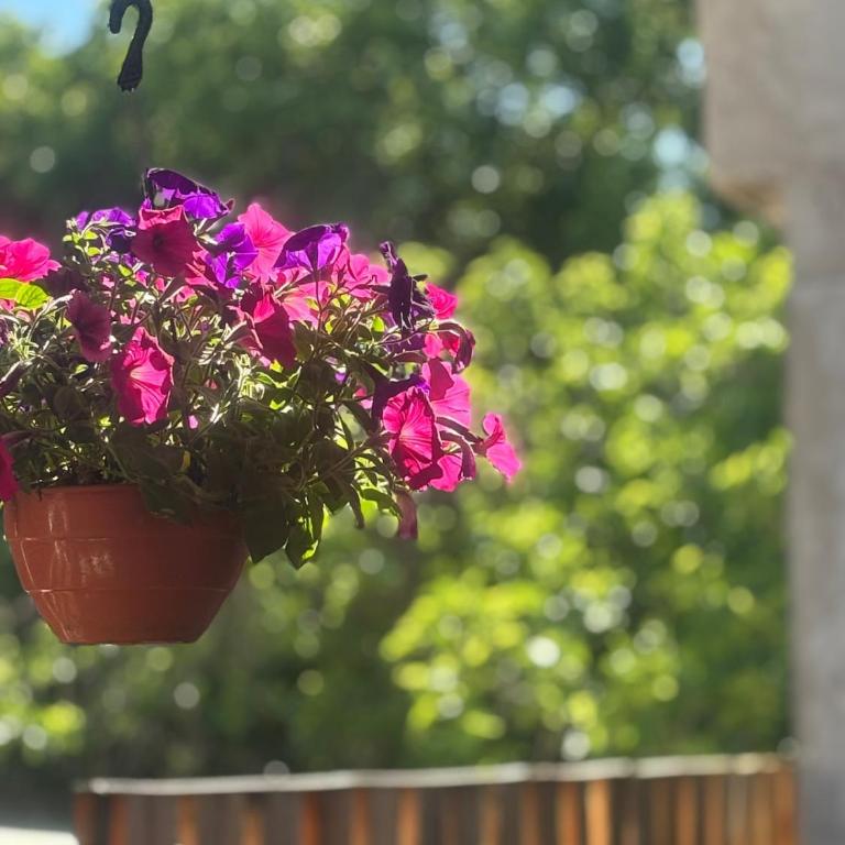 Casa 23 - Apartamento de 1 dormitorio - 25