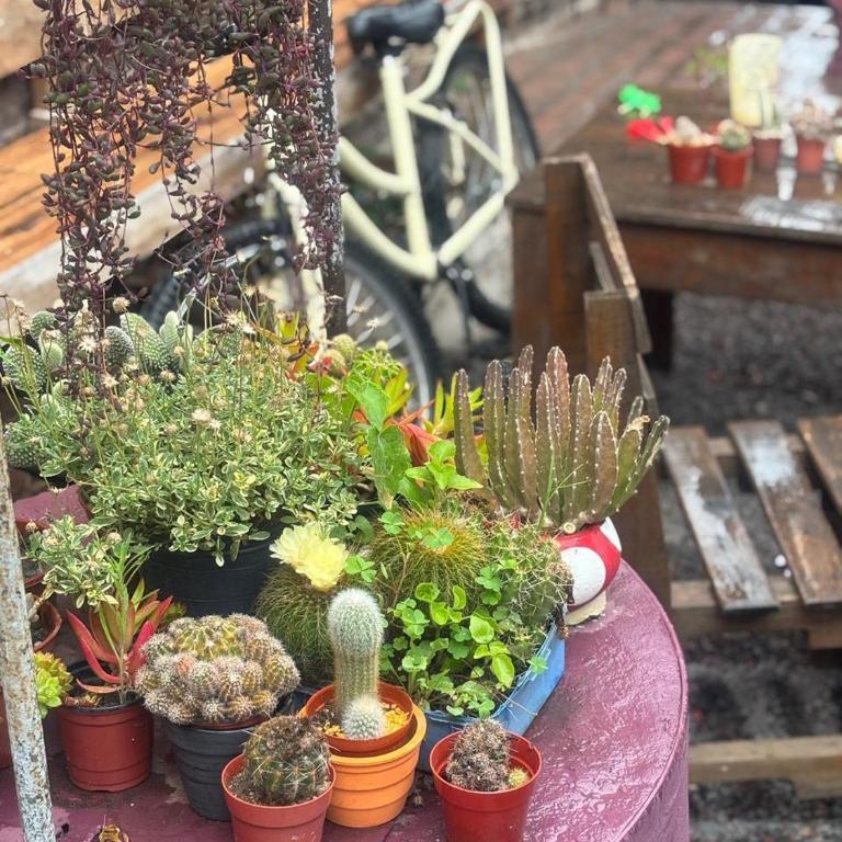 Casa 23 - Apartamento de 1 dormitorio - 26