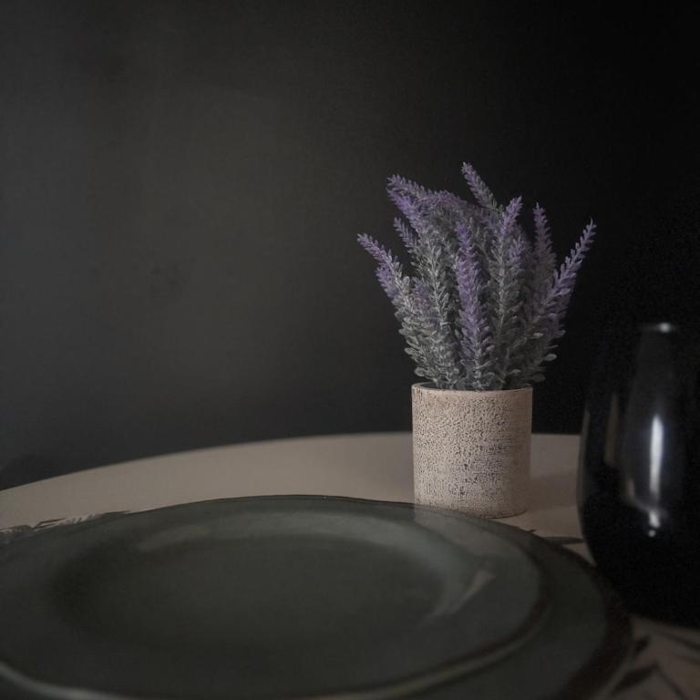 Casa 23 - Apartamento de 1 dormitorio - 27