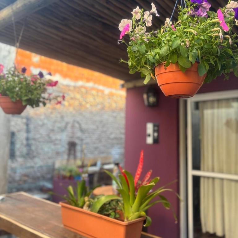 Casa 23 - Apartamento de 1 dormitorio - 37