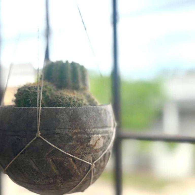 Casa 23 - Apartamento de 1 dormitorio - 45