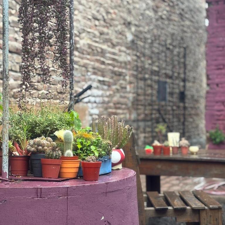 Casa 23 - Apartamento de 1 dormitorio - 46