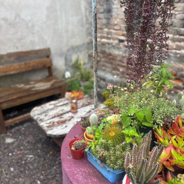 Casa 23 - Apartamento de 1 dormitorio - 50