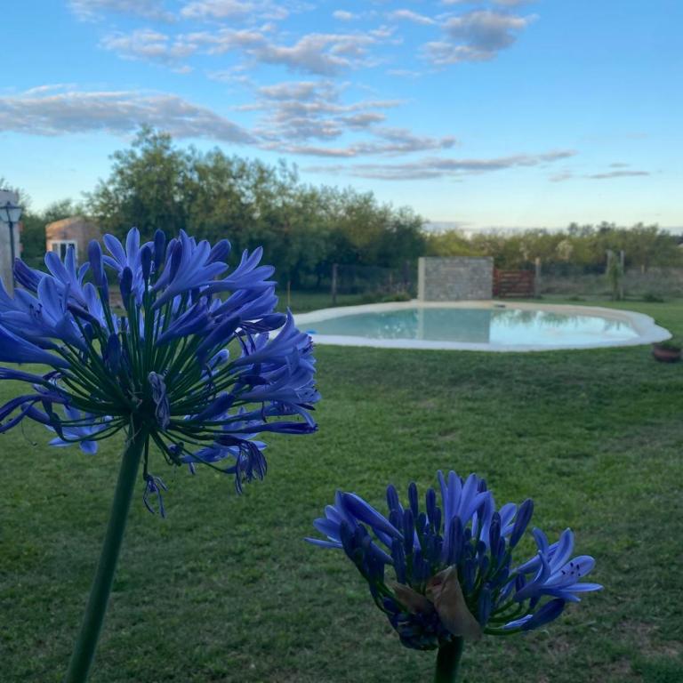 CASAQUINTA EN VILLA CALIFORNIA - Casa de 3 dormitorios - 4