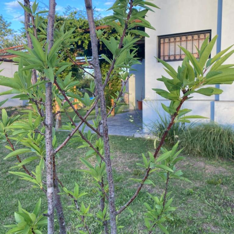 CASAQUINTA EN VILLA CALIFORNIA - Casa de 3 dormitorios - 17