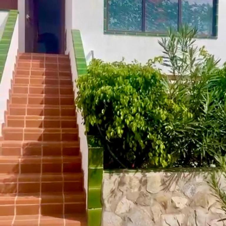 Apartamento vista parcial mar en Tenerife Sur - Apartamento de 1 dormitorio - 6