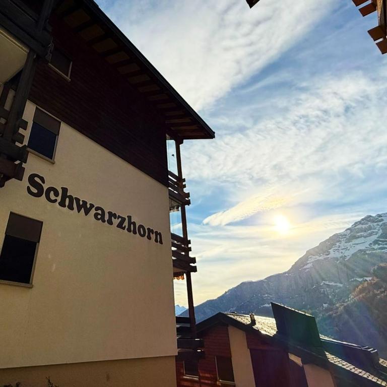 Schwarzhorn 3- komplett renoviert, tolle Aussicht! - Apartment mit 2 Schlafzimmern und Bergblick - 49