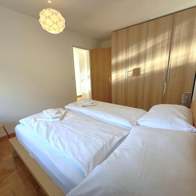 Schwarzhorn 3- komplett renoviert, tolle Aussicht! - Apartment mit 2 Schlafzimmern und Bergblick - 33