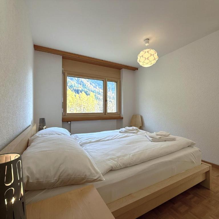 Schwarzhorn 3- komplett renoviert, tolle Aussicht! - Apartment mit 2 Schlafzimmern und Bergblick - 29