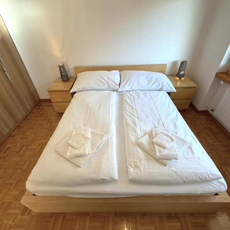 Schwarzhorn 3- komplett renoviert, tolle Aussicht! - Apartment mit 2 Schlafzimmern und Bergblick - 31