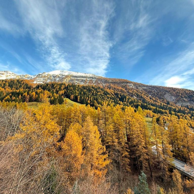 Schwarzhorn 3- komplett renoviert, tolle Aussicht! - Apartment mit 2 Schlafzimmern und Bergblick - 26