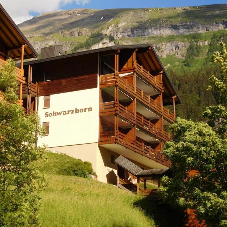 Schwarzhorn 3- komplett renoviert, tolle Aussicht! - Apartment mit 2 Schlafzimmern und Bergblick - 1