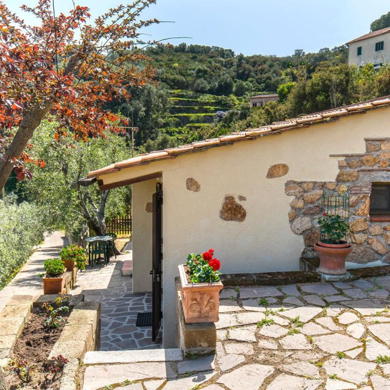 Appartamenti Bellavista by ElbaSummer - Villa con 1 Camera da Letto - 12