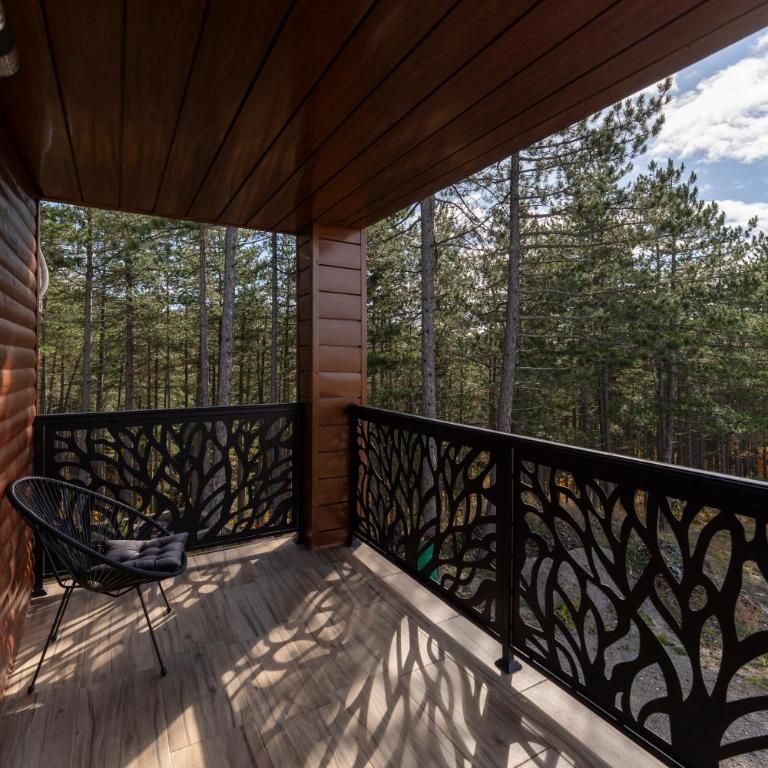 Vila Aleksandrija Zlatibor - Villa - 12
