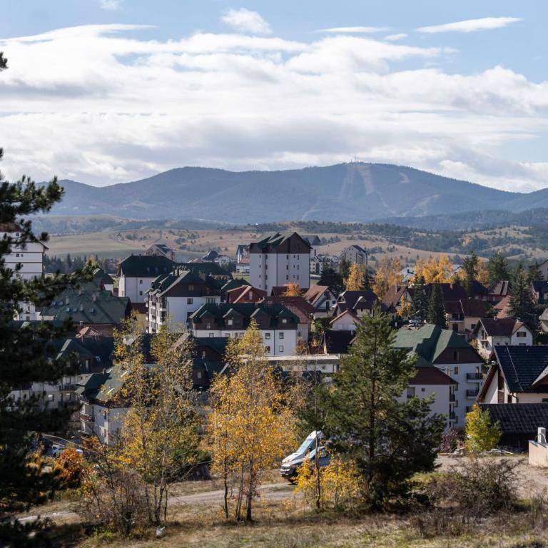 Vila Aleksandrija Zlatibor - Villa - 25