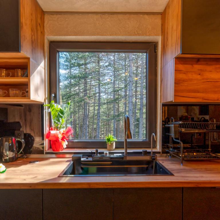 Vila Aleksandrija Zlatibor - Villa - 29