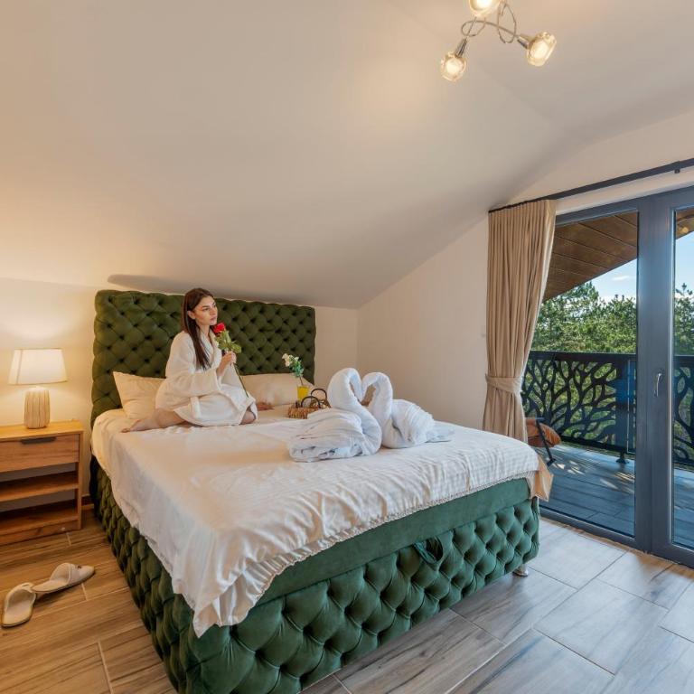 Vila Aleksandrija Zlatibor - Villa - 32