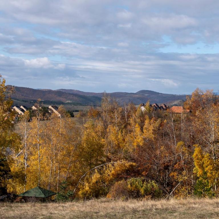 Vila Aleksandrija Zlatibor - Villa - 46