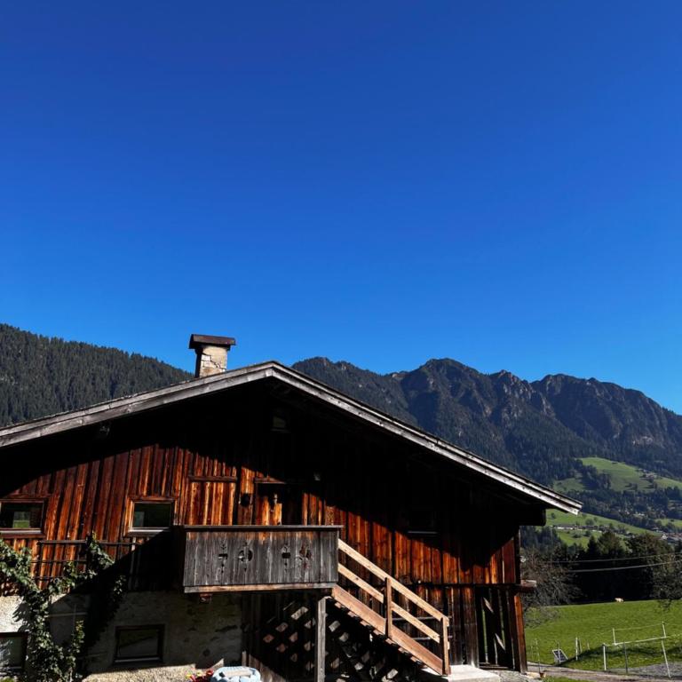 Trail & Tiefschnee Lodge - Ferienhaus - 1