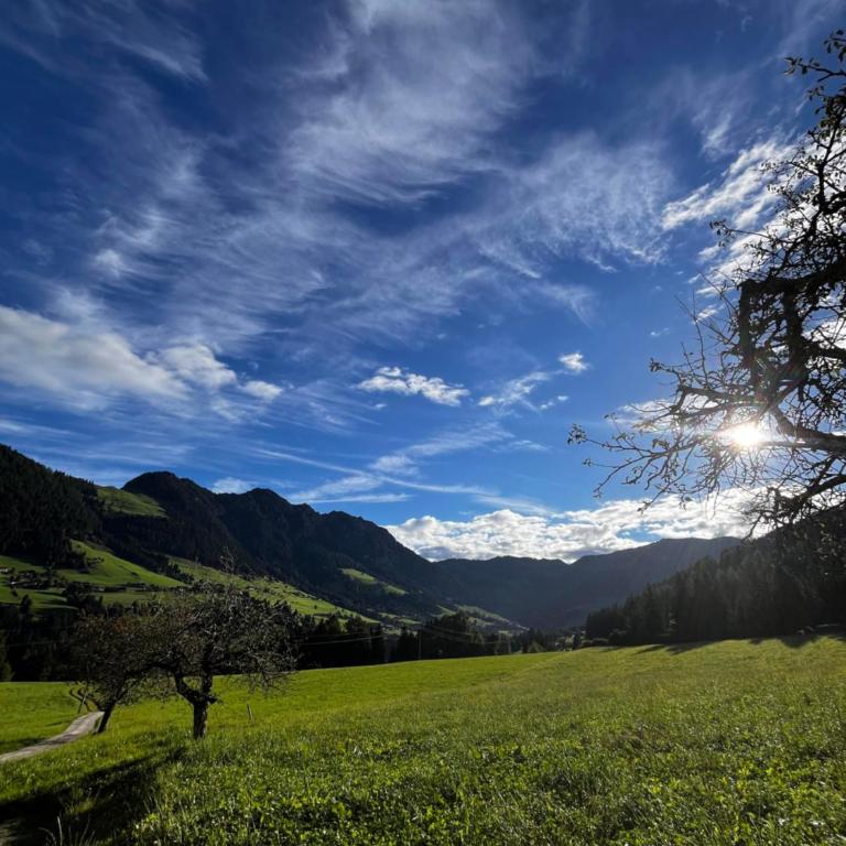 Trail & Tiefschnee Lodge - Ferienhaus - 4