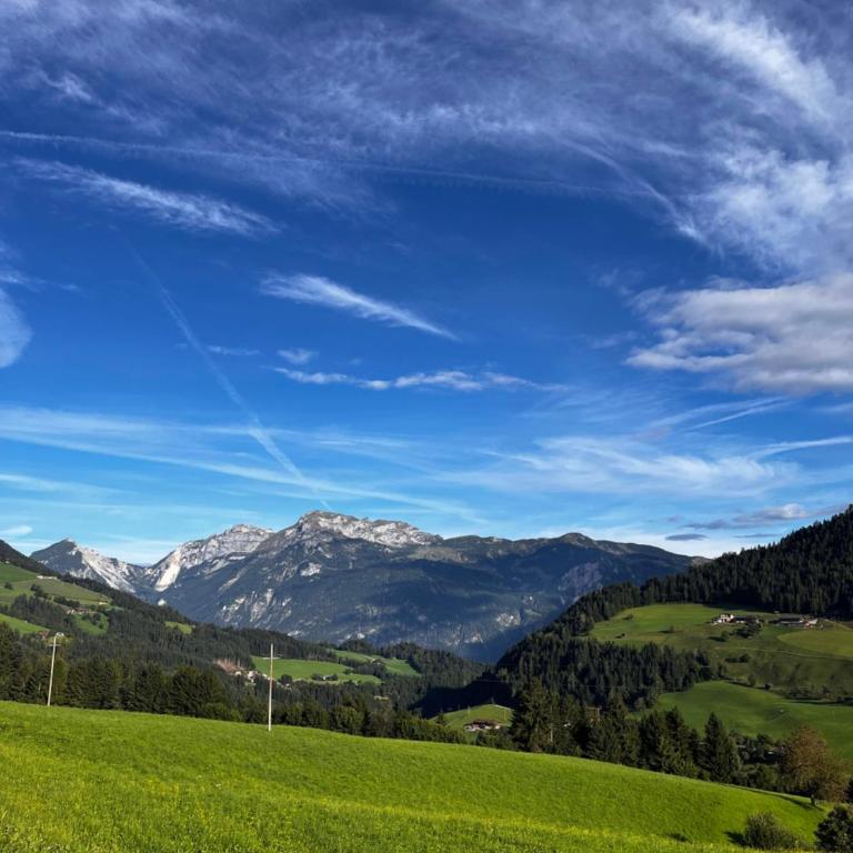Trail & Tiefschnee Lodge - Ferienhaus - 5