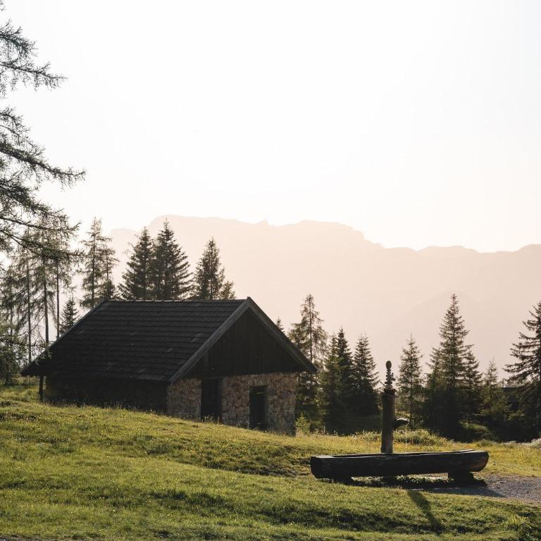 Trail & Tiefschnee Lodge - Ferienhaus - 13