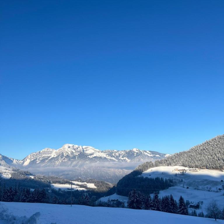 Trail & Tiefschnee Lodge - Ferienhaus - 14