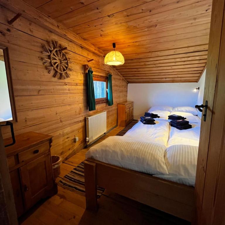 Trail & Tiefschnee Lodge - Ferienhaus - 21