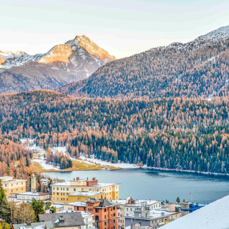 StMoritz Center Vintage Terrace 180 full lake view - Apartment - 40