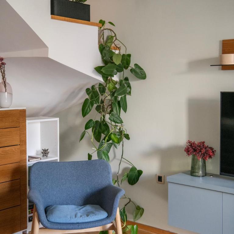 Warm Embrace Apartment - Apartman sa 2 Spavaće Sobe - 26