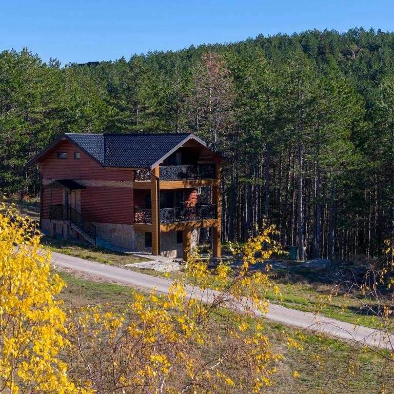 Vila Aleksandrija Zlatibor - Villa - 2