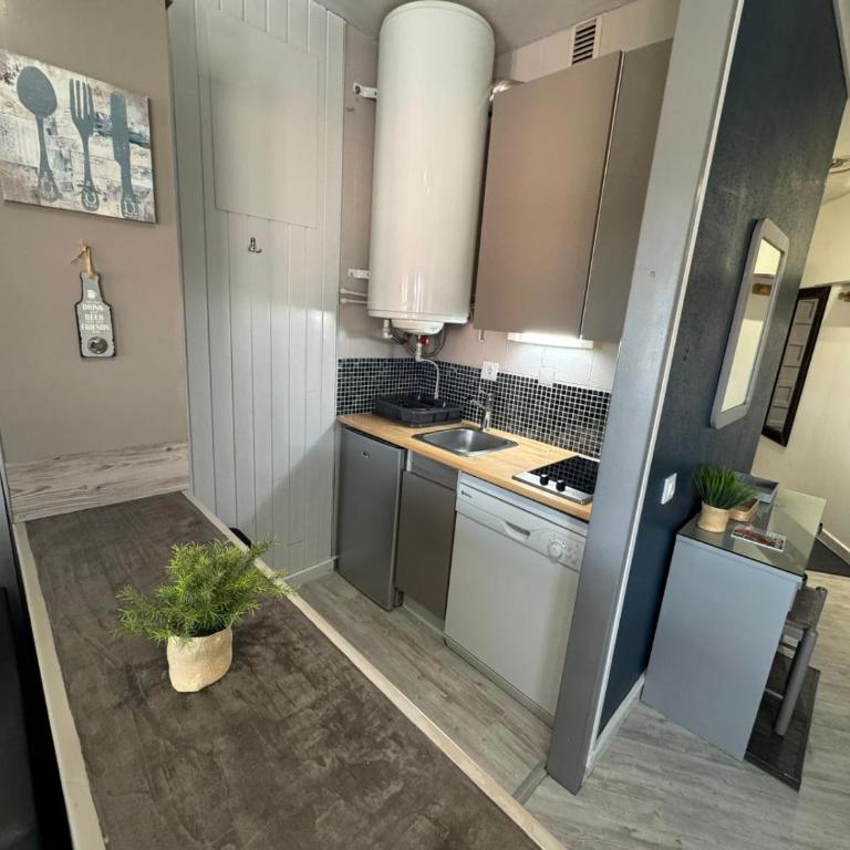 Immodelpas Gran tetras - Apartamento - 5