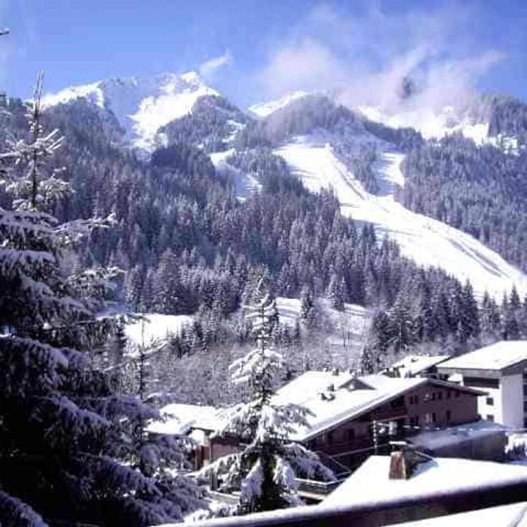 Studio confortable 4 personnes avec balcon à Châtel - FR-1-676-50 - Monolocale - 12