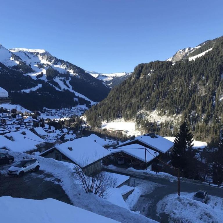 Studio Châtel 4 Pers, Ski, Balcon Sud/Ouest, Parking, Netflix/WIFI, Animaux admis - FR-1-676-122 - Studio - 13