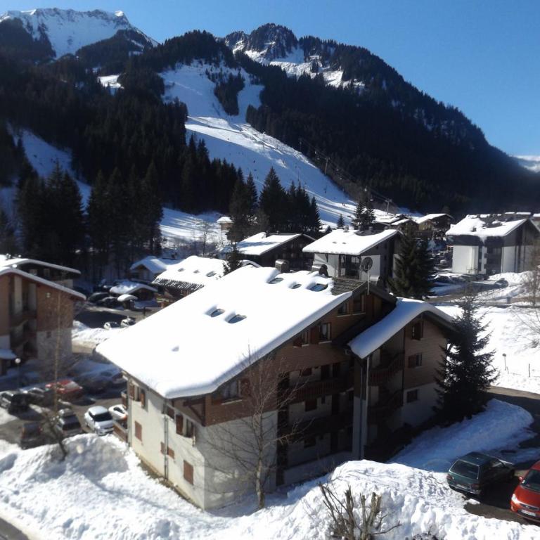 Studio Mezzanine Châtel, Parking, 4 pers. - FR-1-676-111 - Studio - 11