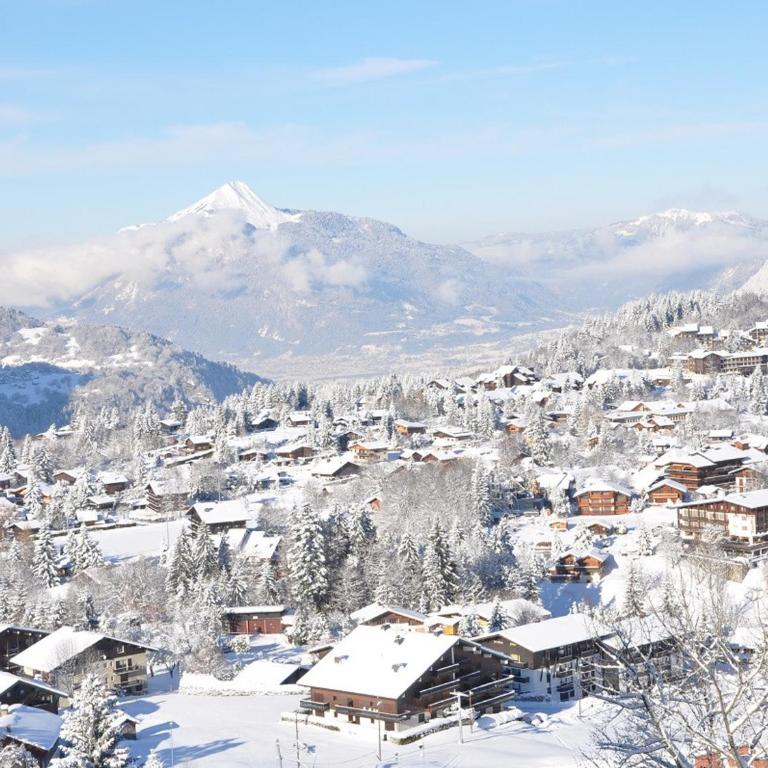 Charmant T2 à Arâches-la-Frasse, pour 4 personnes - FR-1-836-19 - Apartment - 11
