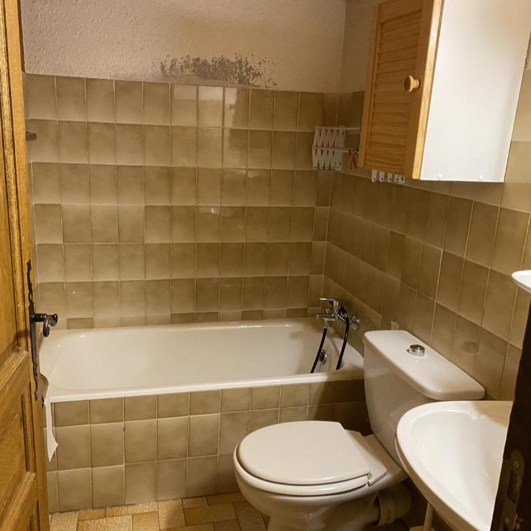 Studio Mezzanine 4 Pers, Parking, Près Centre Châtel - FR-1-676-213 - Studio - 19