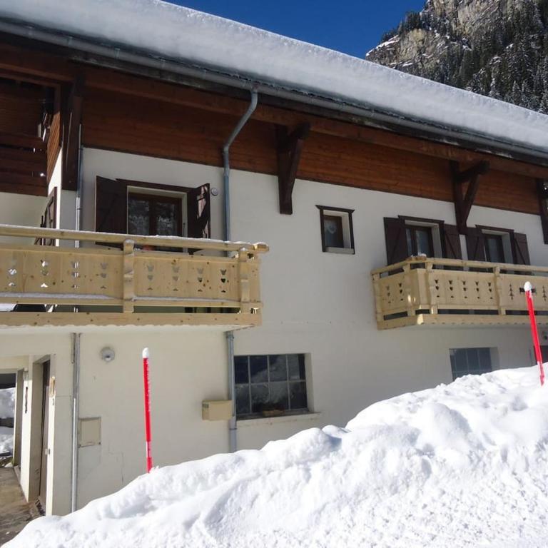 Chalet spacieux à Châtel, 10 pers, parking, animaux admis - FR-1-676-242 - Appartement - 14