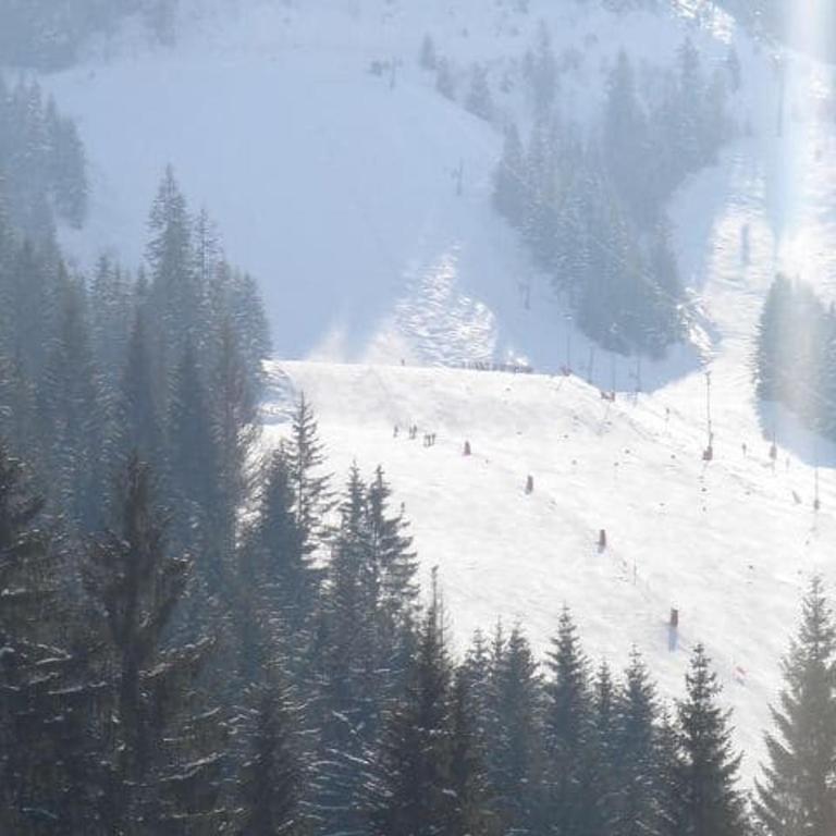 Chalet à Châtel, Proche des Pistes, 5 Pers, Parking Inclus - FR-1-676-153 - Appartement - 11
