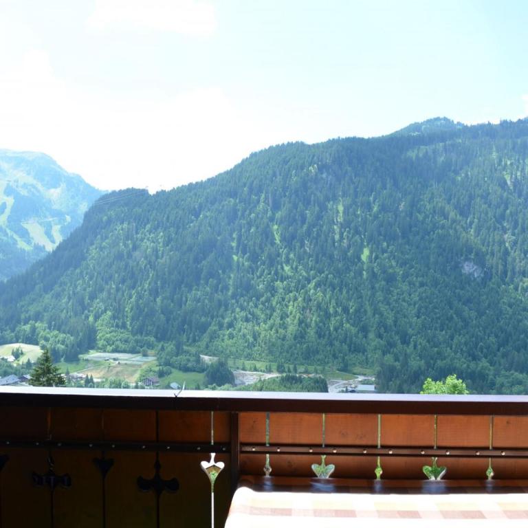 Studio cosy pour 3 avec balcon et parking à Châtel - FR-1-676-165 - Studio - 13