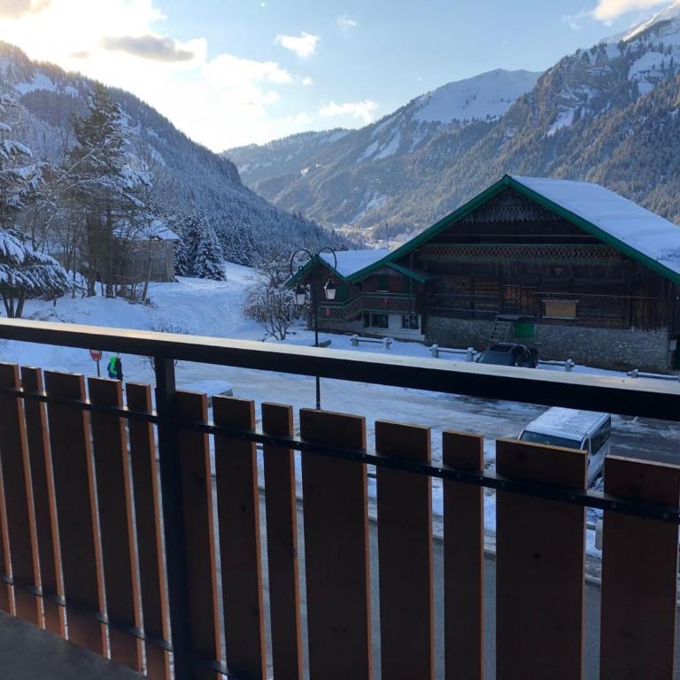 Studio confortable 4 personnes, balcon, Châtel, animaux admis - FR-1-676-188 - Studio - 11