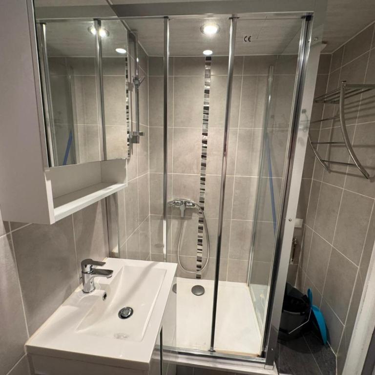 Immodelpas Gran tetras - Apartamento - 12