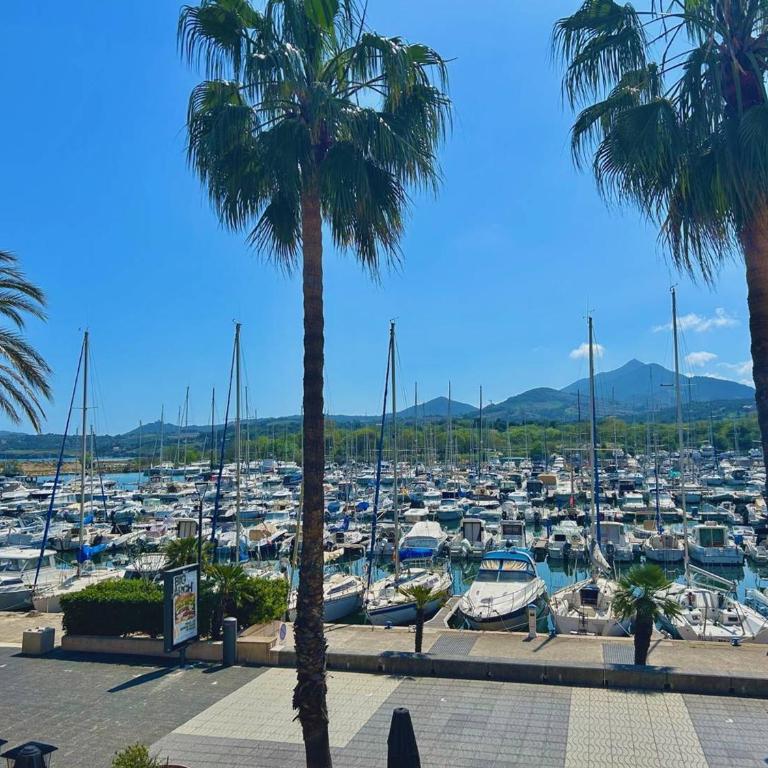 Appartement moderne 4-6 pers, proche plage - Argelès-sur-Mer - FR-1-388-97 - Apartment (6 Erwachsene) - 10