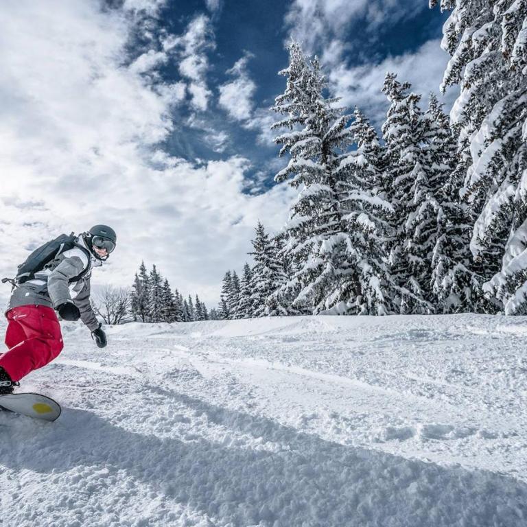 Studio rénové skis aux pieds, balcon sud, parking inclus, proche commerces et garderie. - FR-1-398-512 - Studio - 10