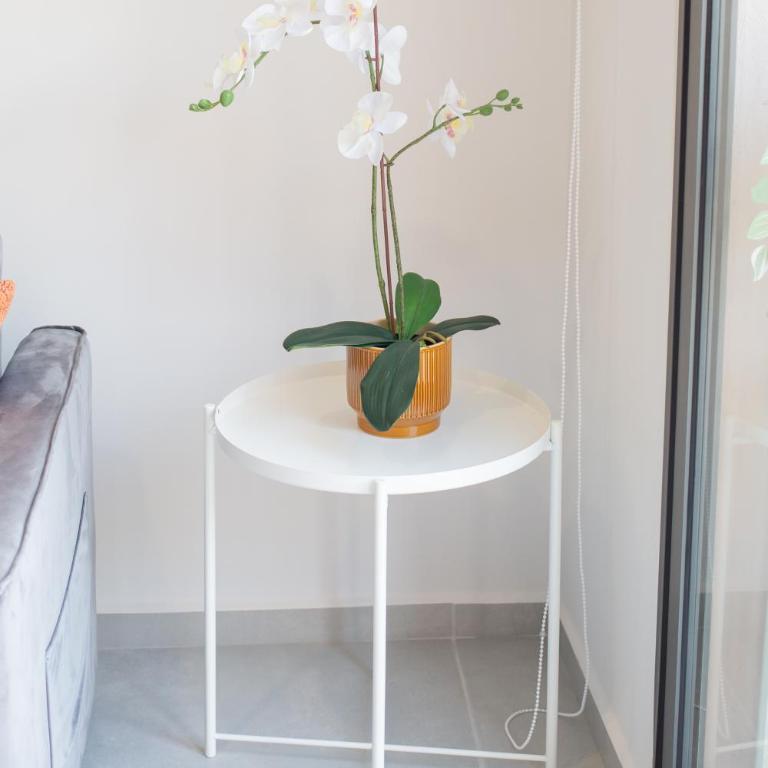 Villadhara Centro GDL - Apartamento de 1 dormitorio - 1